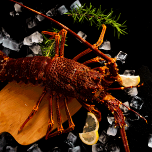 Langouste Entière