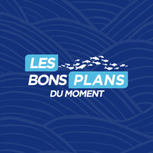 Les Bons Plans